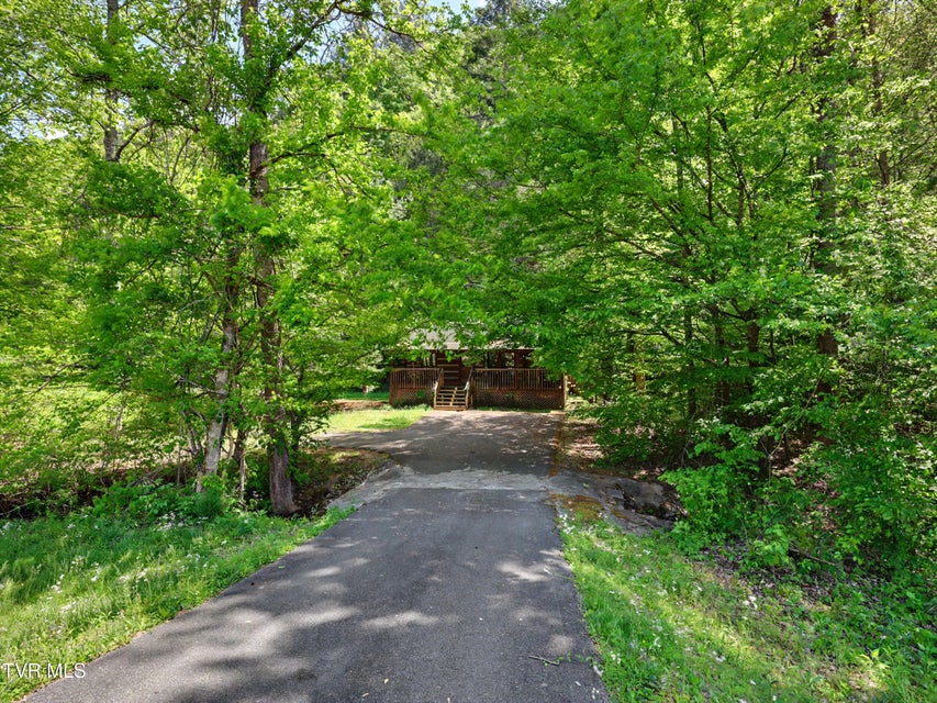 Photo #4: 1561 Jobey Green Hollow Road