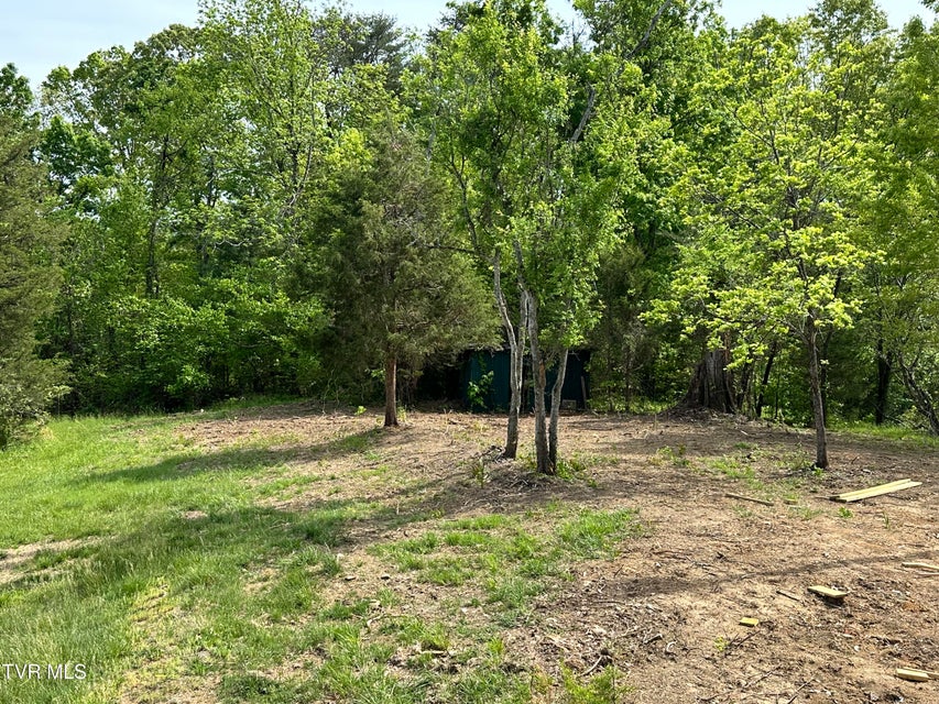 Photo #35: 148 Walker Cemetery Road