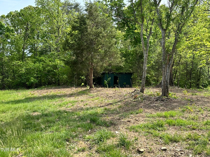 Photo #36: 148 Walker Cemetery Road