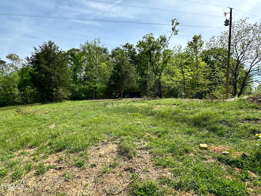 Photo #37: 148 Walker Cemetery Road