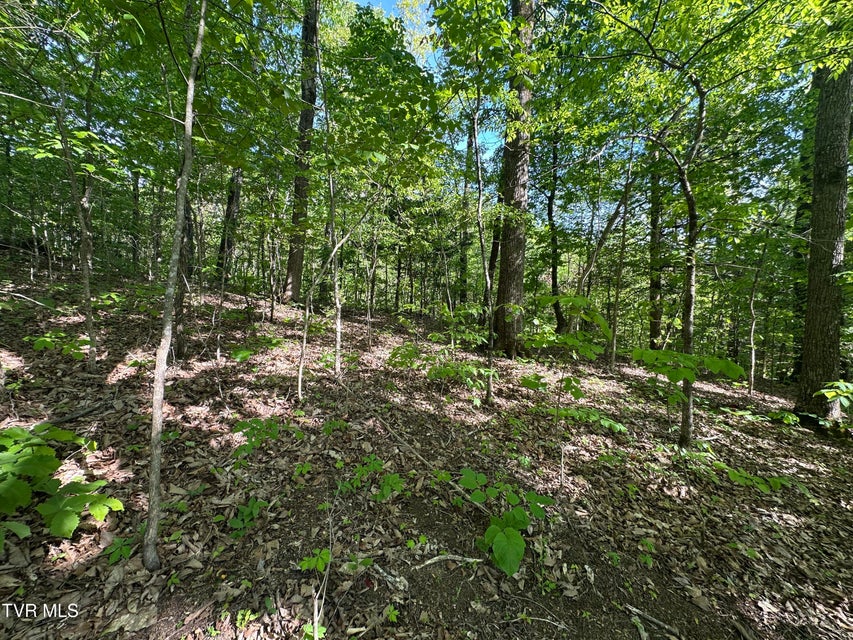 Photo #3: 00 Deerfoot Road