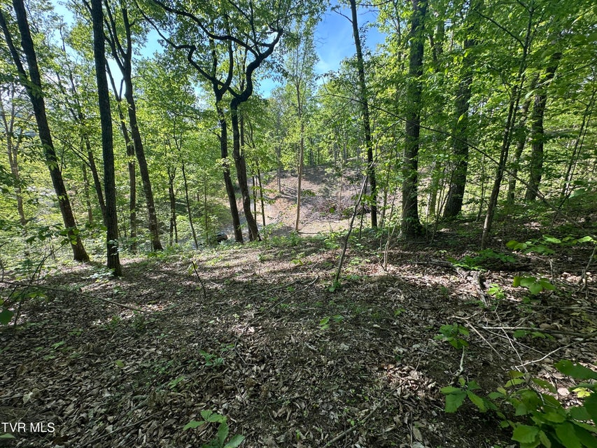 Photo #4: 00 Deerfoot Road