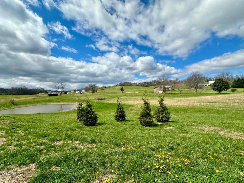 Photo #68: 1600 Mary Lamons Road