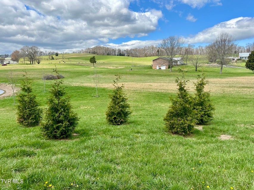 Photo #69: 1600 Mary Lamons Road