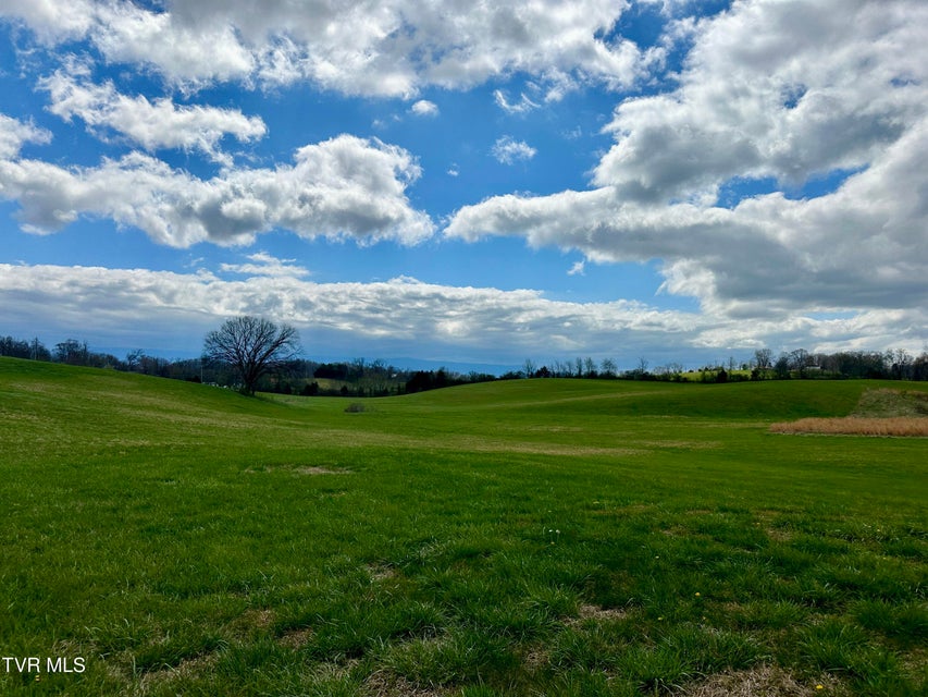 Photo #72: 1600 Mary Lamons Road