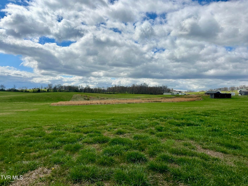 Photo #73: 1600 Mary Lamons Road