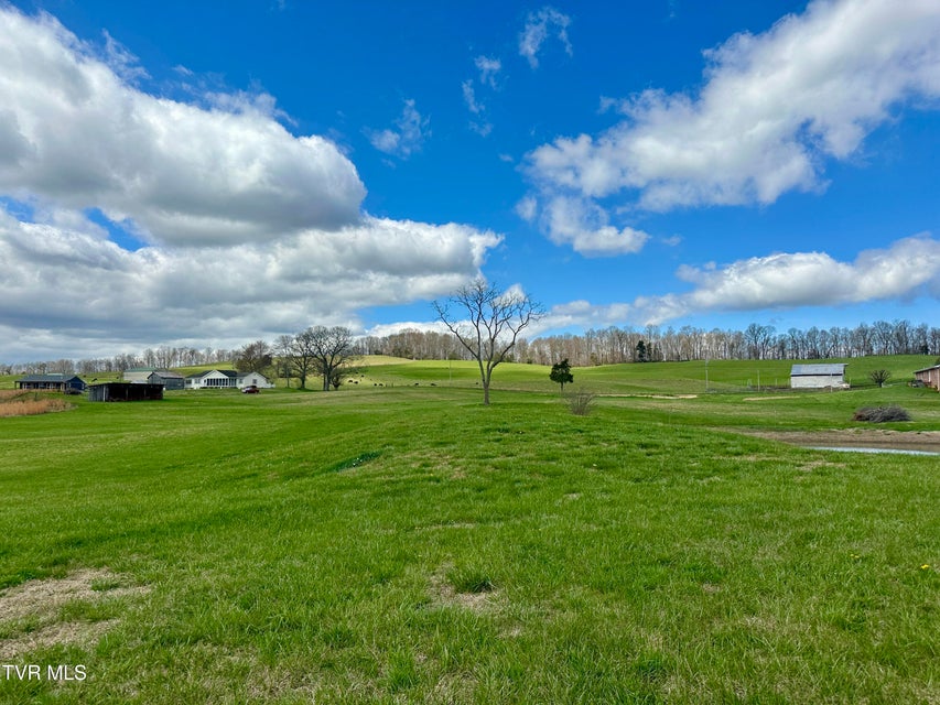 Photo #75: 1600 Mary Lamons Road