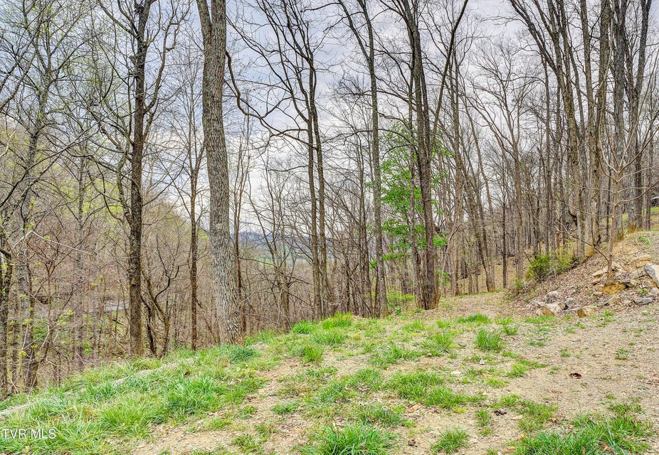 Photo #20: 394 & 400 Bishop Hollow Road