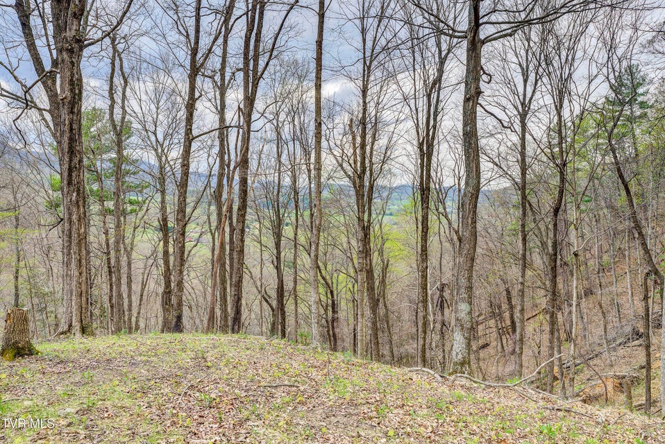 Photo #21: 394 & 400 Bishop Hollow Road