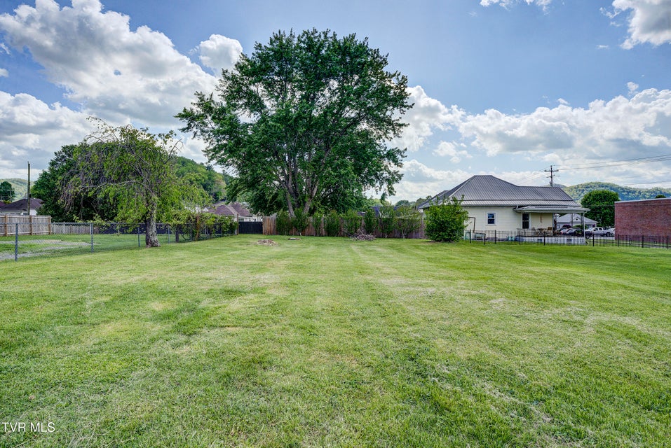 Photo #44: 312 Love Street