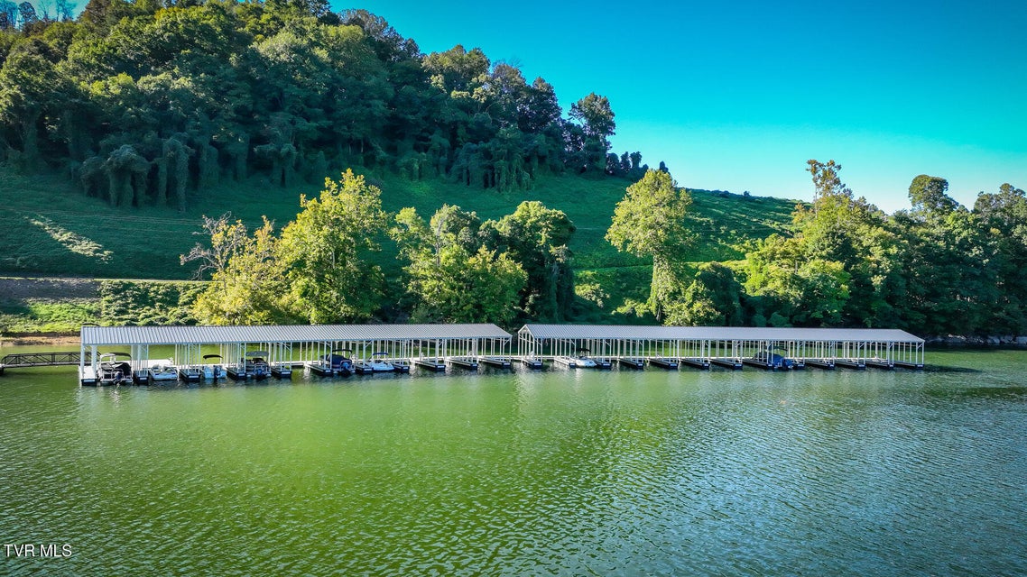 Photo #40: Lot 11 Cowan Town Road