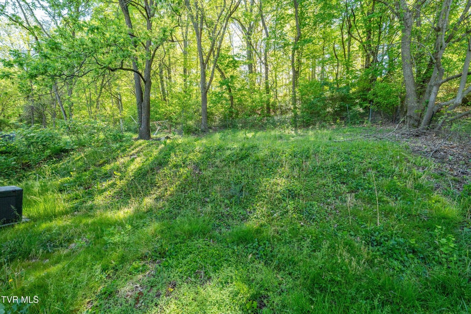 Photo #27: 304 Chestnut Street