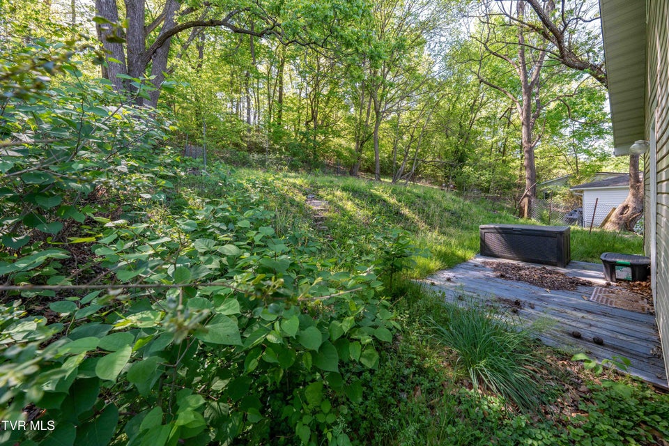 Photo #28: 304 Chestnut Street