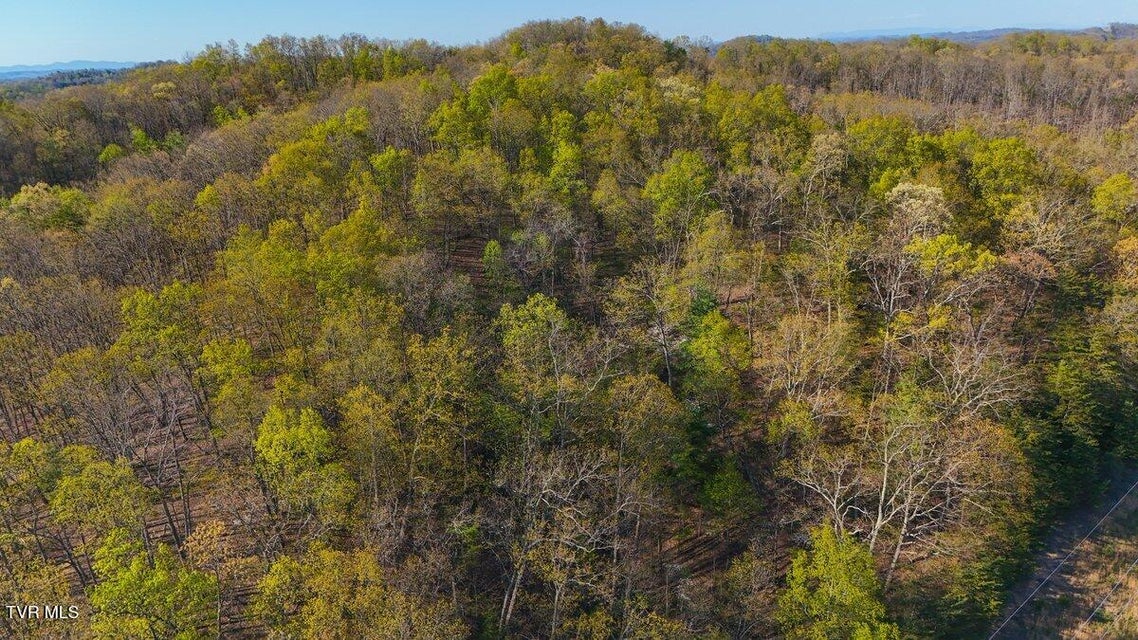 Photo #13: 814 Frank Jones Road