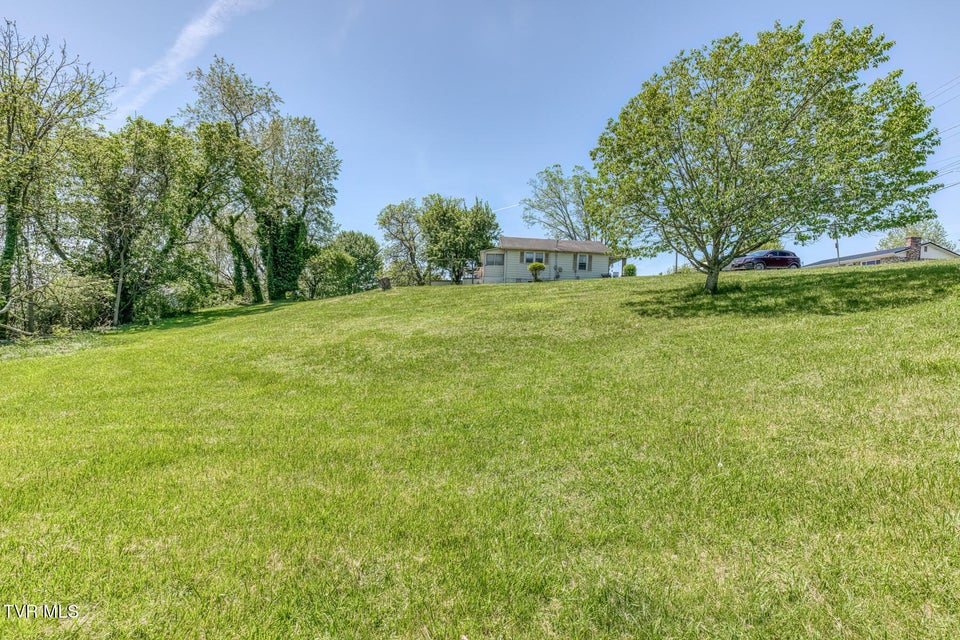 Photo #34: 2424 Catherine Street