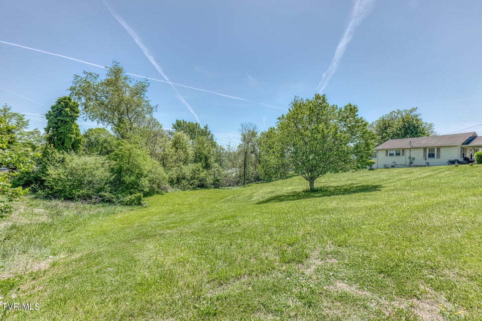 Photo #35: 2424 Catherine Street