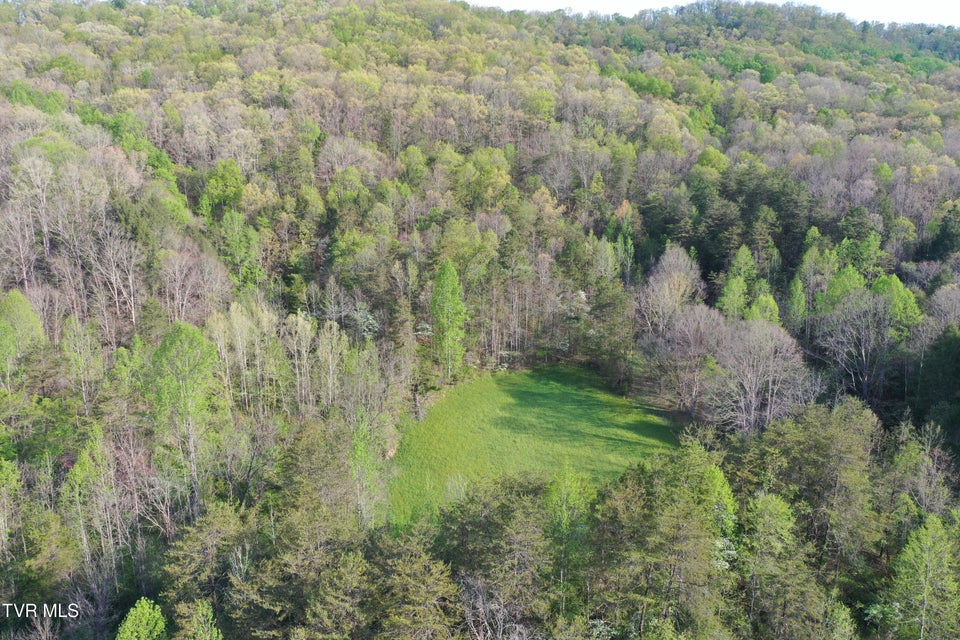 Photo #2: 1529 Beech Creek Rd Road