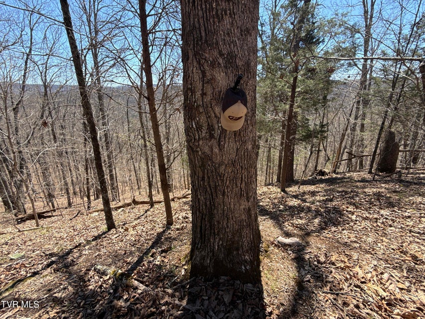 Photo #6: 1529 Beech Creek Rd Road