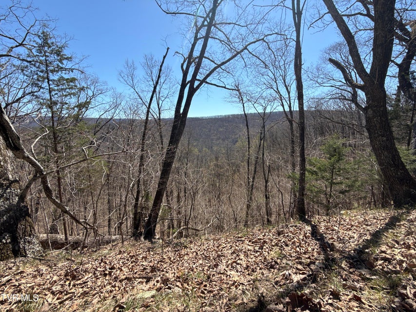 Photo #7: 1529 Beech Creek Rd Road