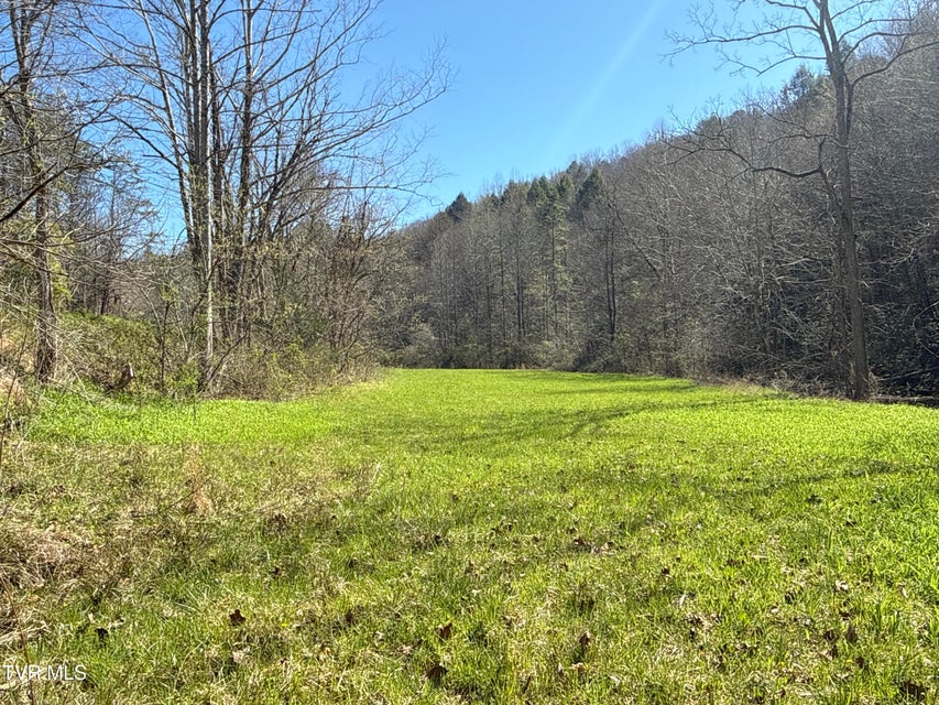 Photo #19: 1529 Beech Creek Rd Road