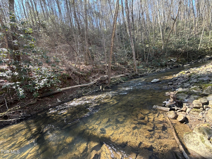 Photo #23: 1529 Beech Creek Rd Road