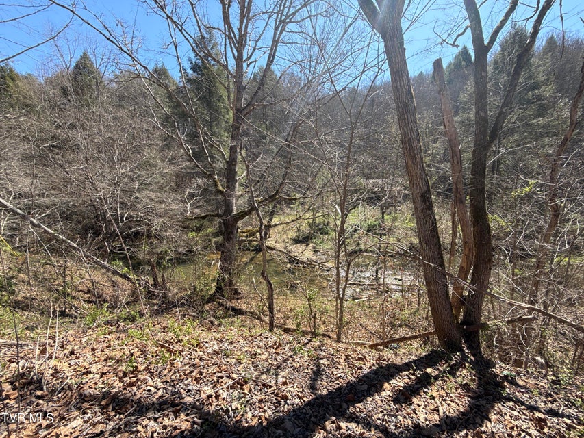 Photo #25: 1529 Beech Creek Rd Road