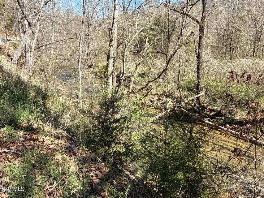 Photo #30: 1529 Beech Creek Rd Road