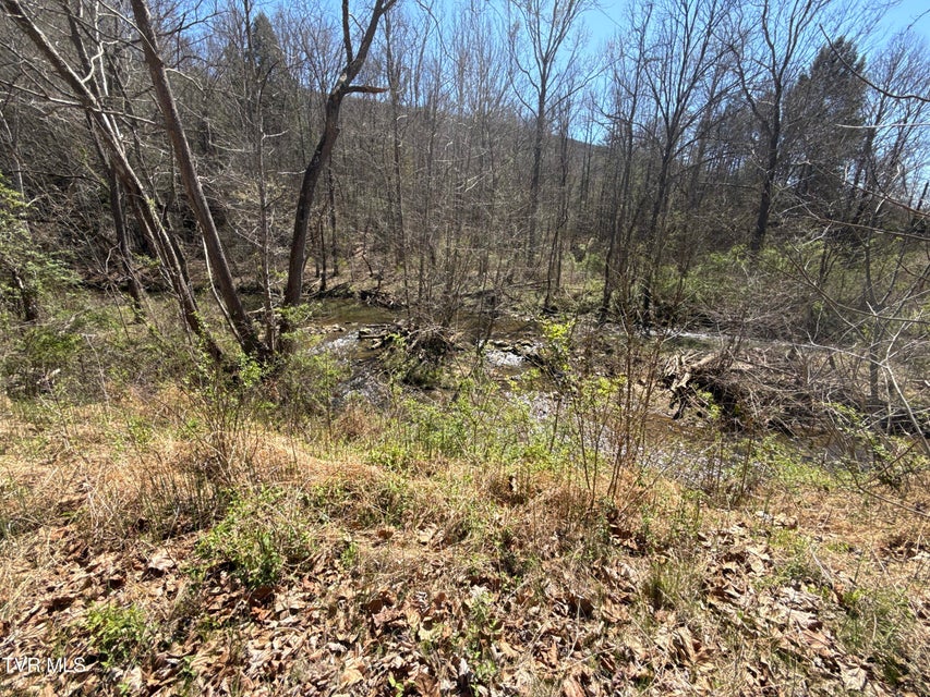 Photo #31: 1529 Beech Creek Rd Road