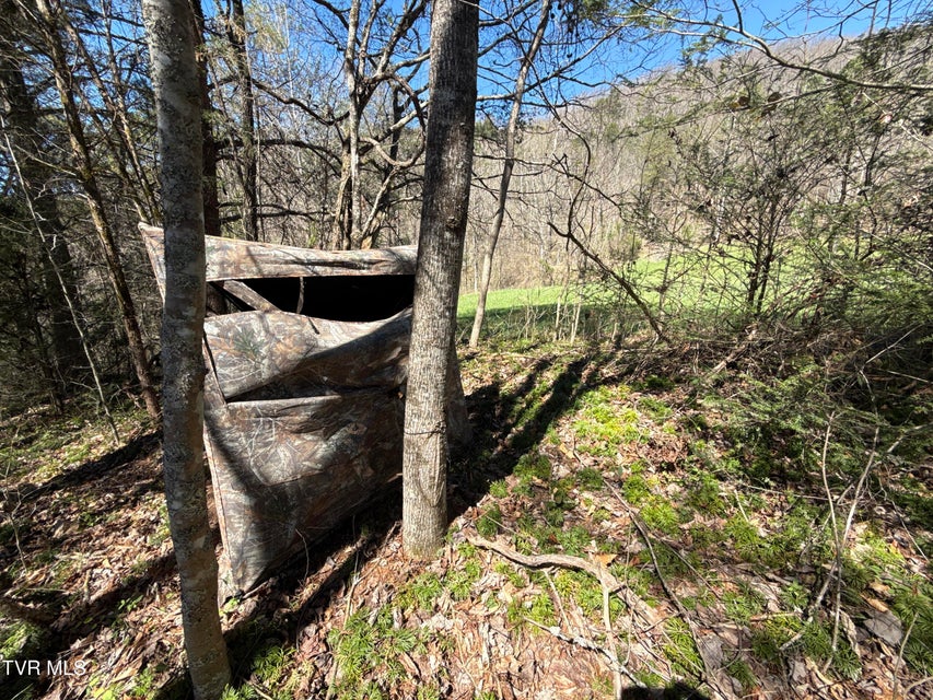 Photo #46: 1529 Beech Creek Rd Road