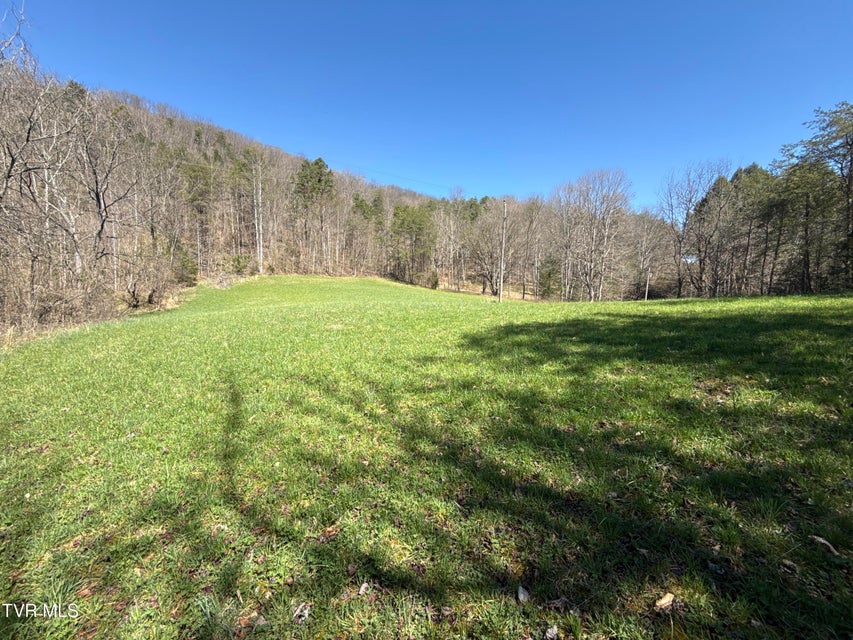 Photo #48: 1529 Beech Creek Rd Road