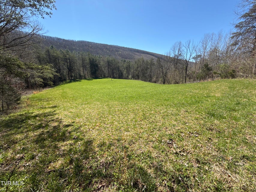 Photo #49: 1529 Beech Creek Rd Road