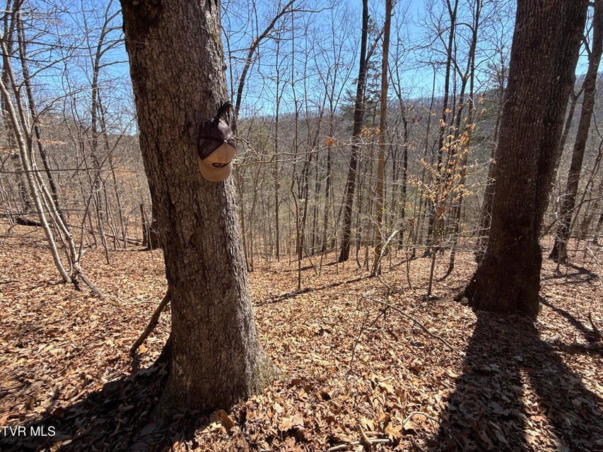 Photo #50: 1529 Beech Creek Rd Road