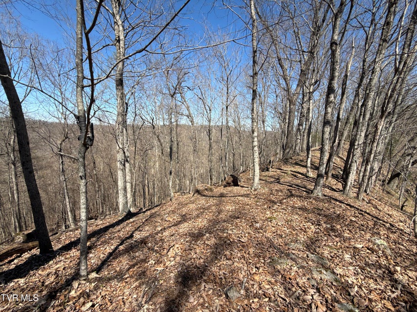 Photo #52: 1529 Beech Creek Rd Road