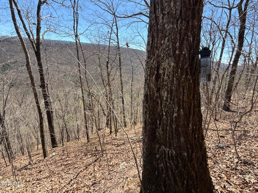 Photo #53: 1529 Beech Creek Rd Road