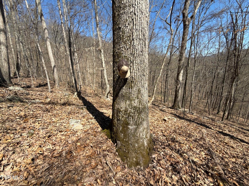 Photo #56: 1529 Beech Creek Rd Road