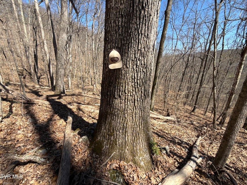 Photo #57: 1529 Beech Creek Rd Road