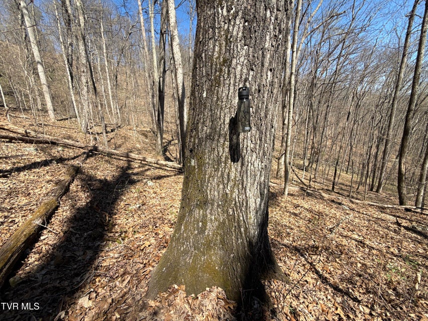 Photo #58: 1529 Beech Creek Rd Road