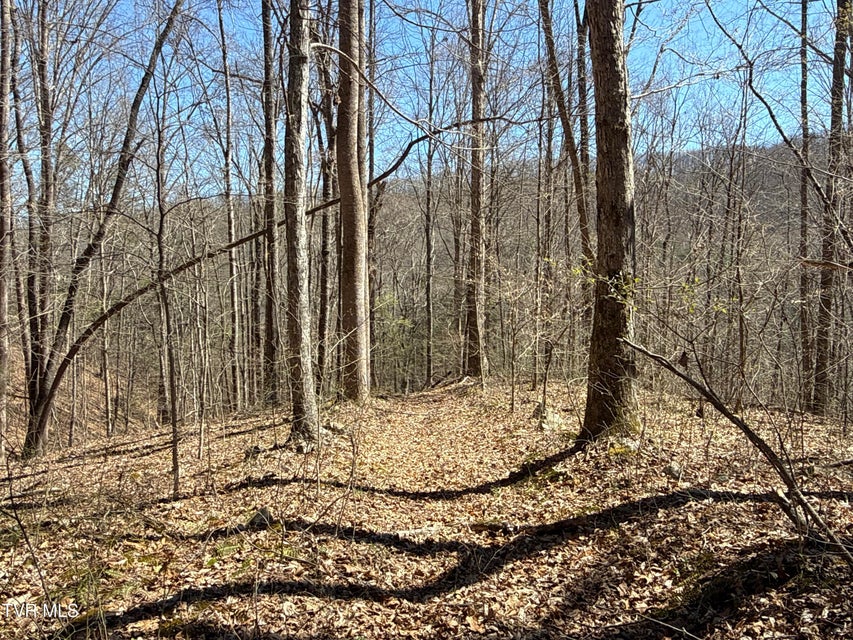 Photo #59: 1529 Beech Creek Rd Road