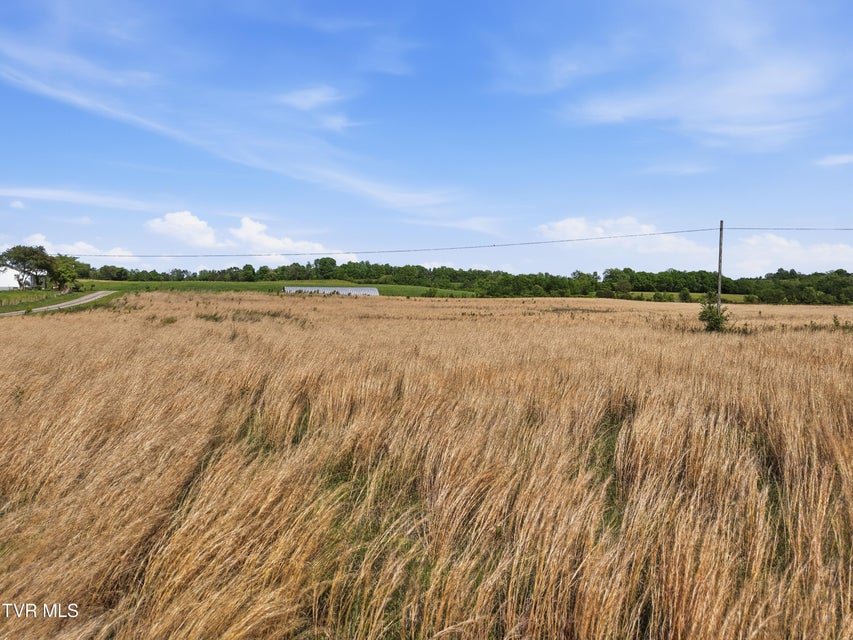 Photo #14: 525 Matthews Lane