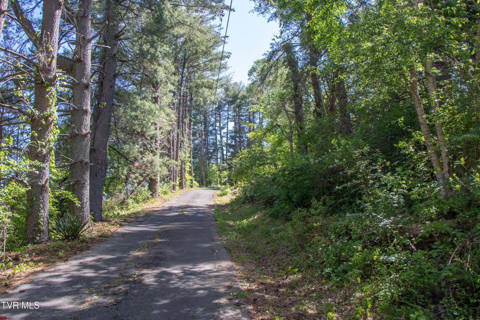 Photo #4: 2477 Weaver Pike