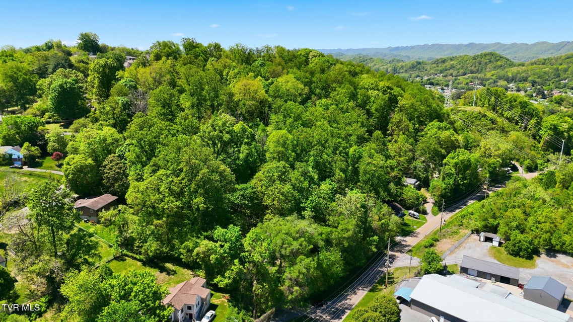 Photo #38: 1658 Echo Court