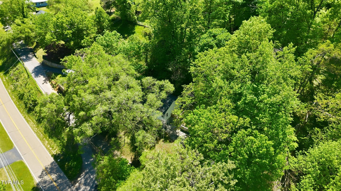 Photo #41: 1658 Echo Court