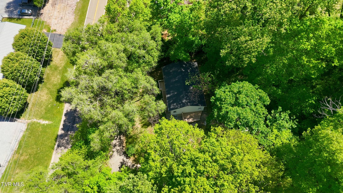 Photo #42: 1658 Echo Court