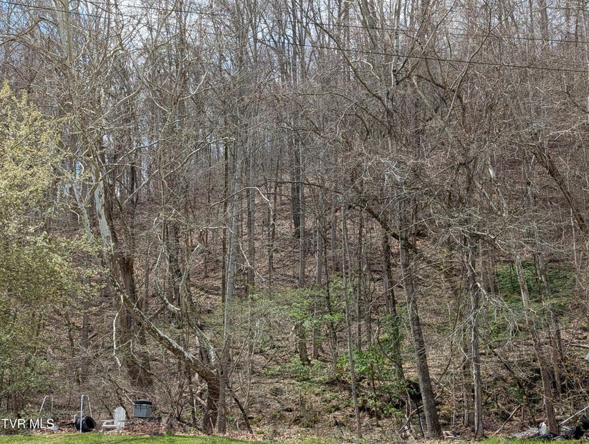 Photo #2: Tbd Cliff Mountain Way