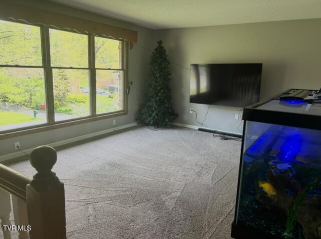 Photo #5: 164 Woodstock Lane