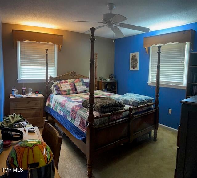 Photo #7: 164 Woodstock Lane