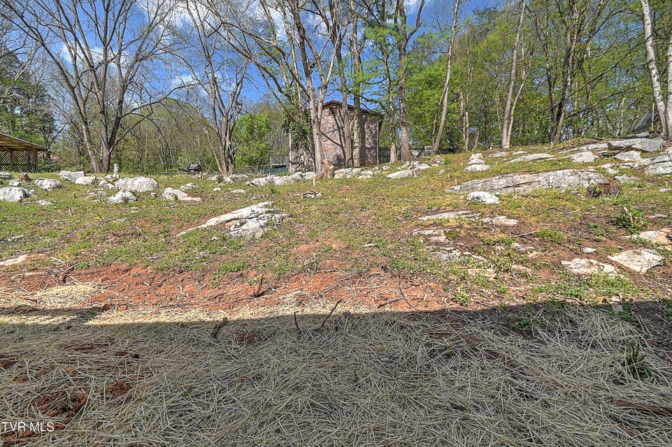 Photo #35: 165 Brookfield Lane