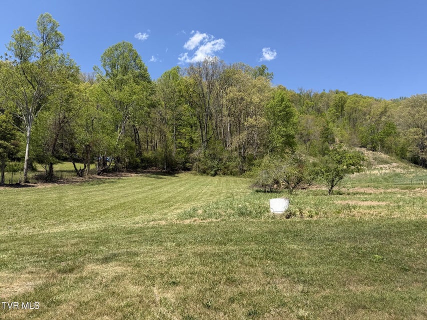 Photo #12: 487 Right Poor Valley Road