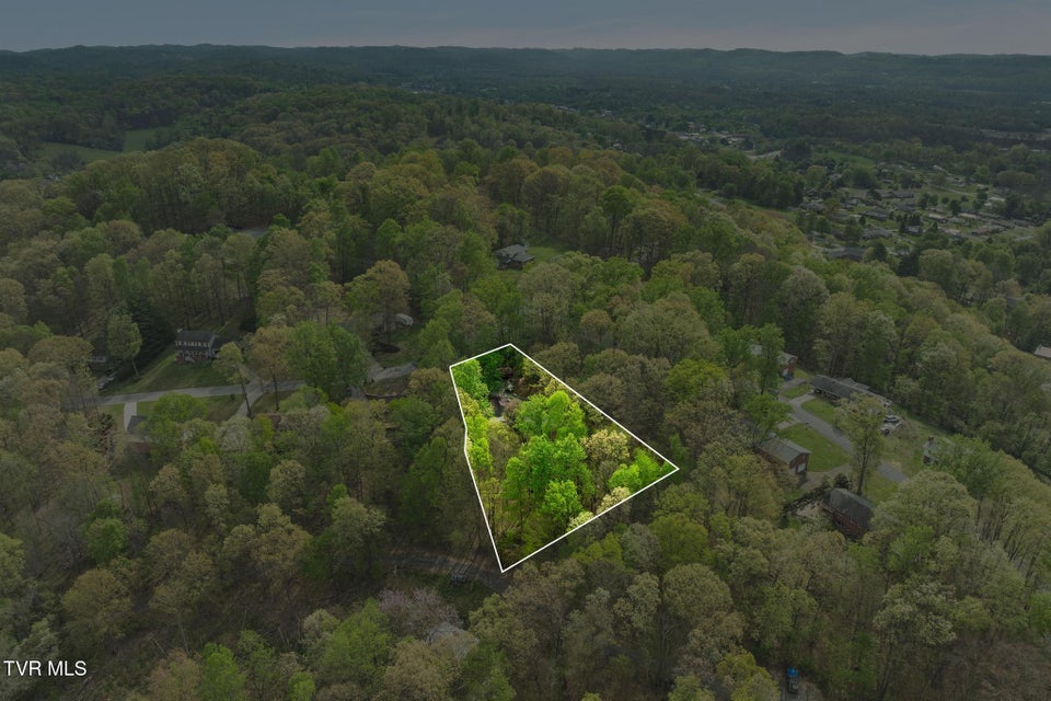 Photo #30: 704 Stuffle Street