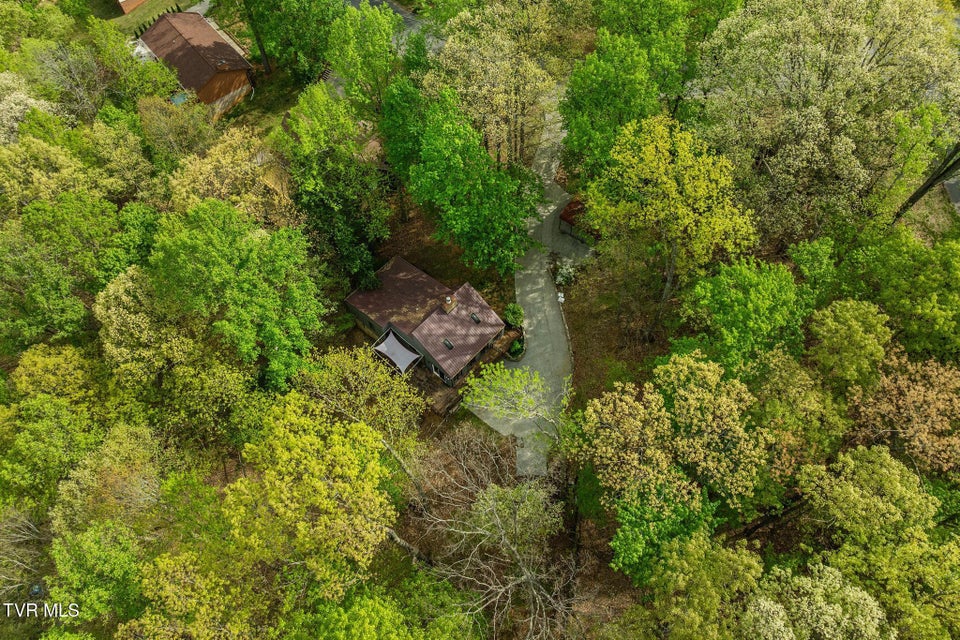 Photo #31: 704 Stuffle Street